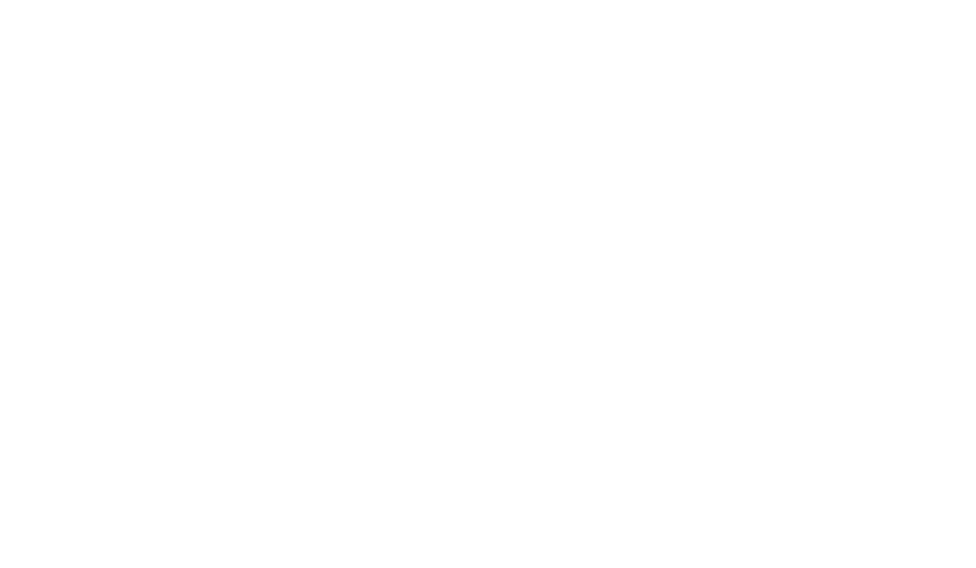 Timeless Collection
